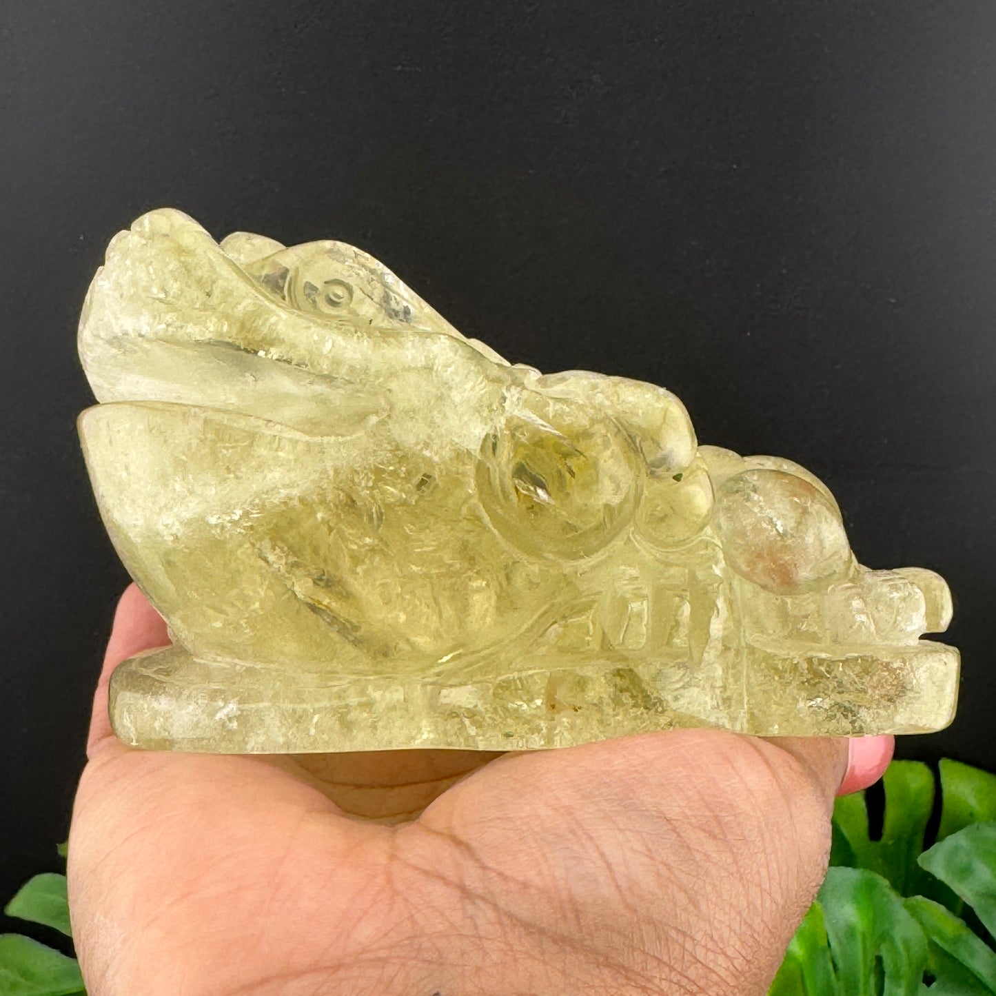 HT Citrine Money Toad
