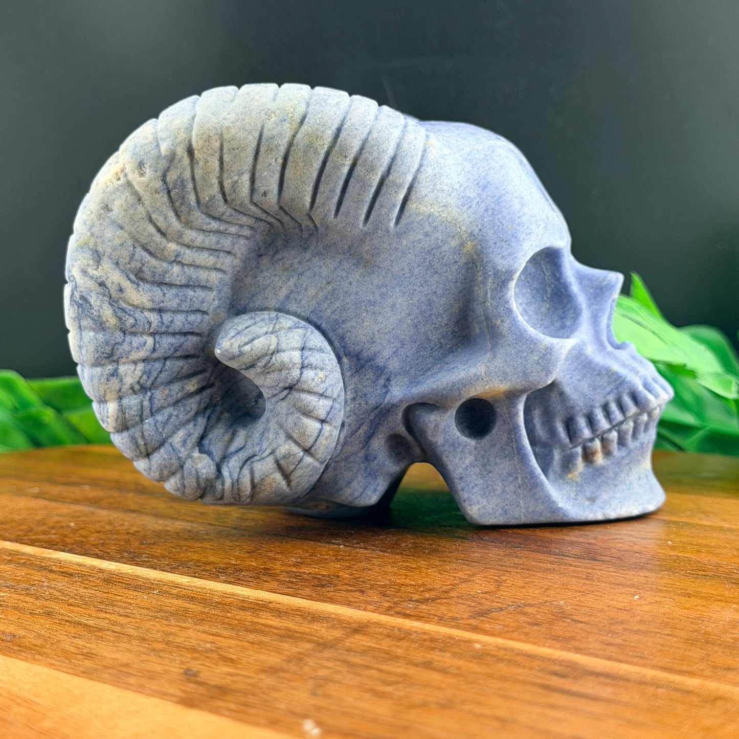 Blue Aventurine Horned Skull