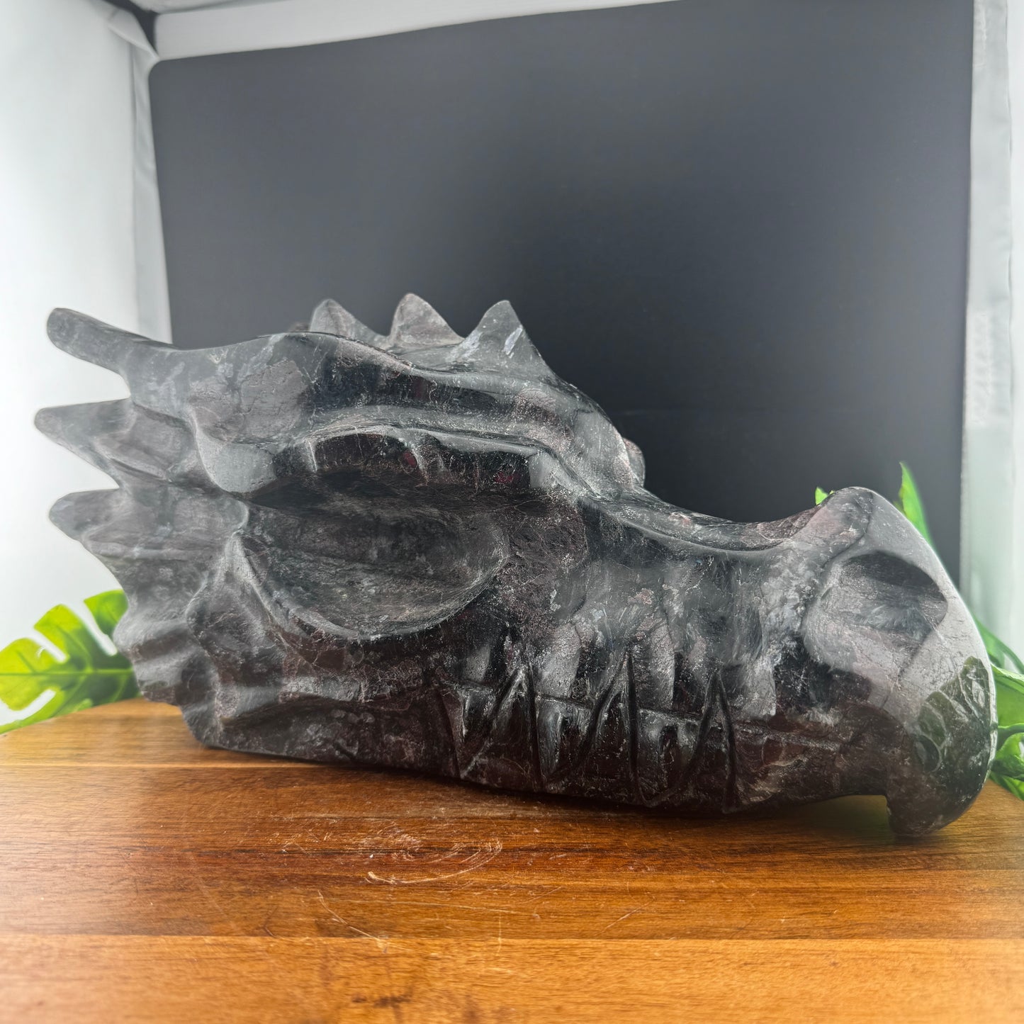 XL 12 inch Garnet in Arfvedsonite Dragon Carving