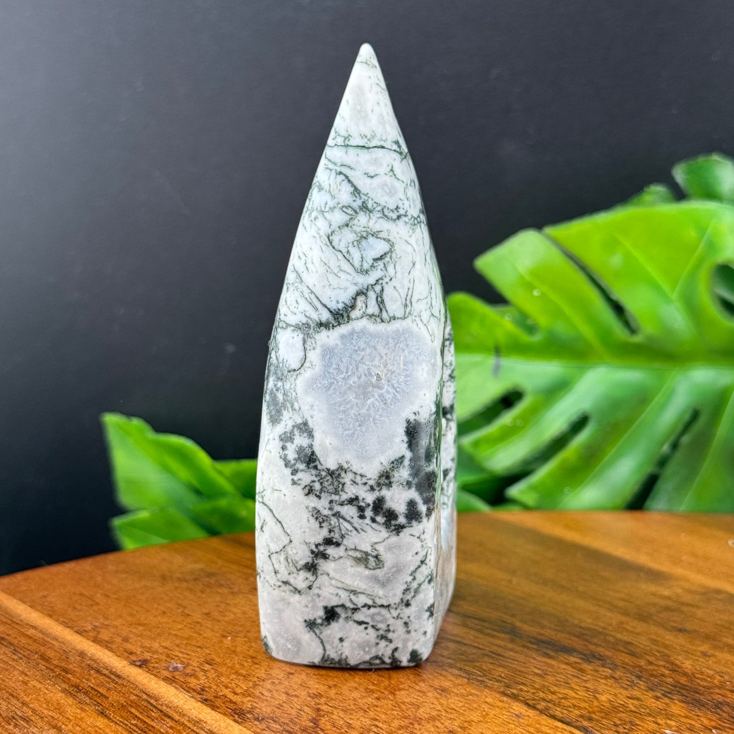 Moss Agate Skull in Flame