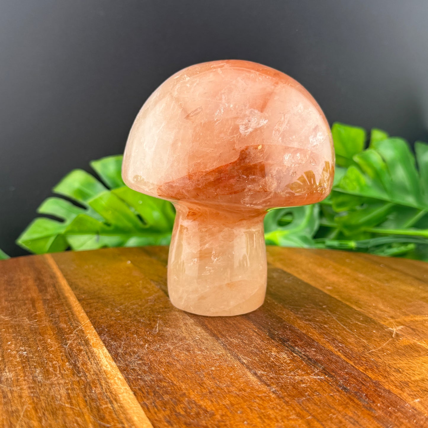 Golden Healer XL Mushie Carving