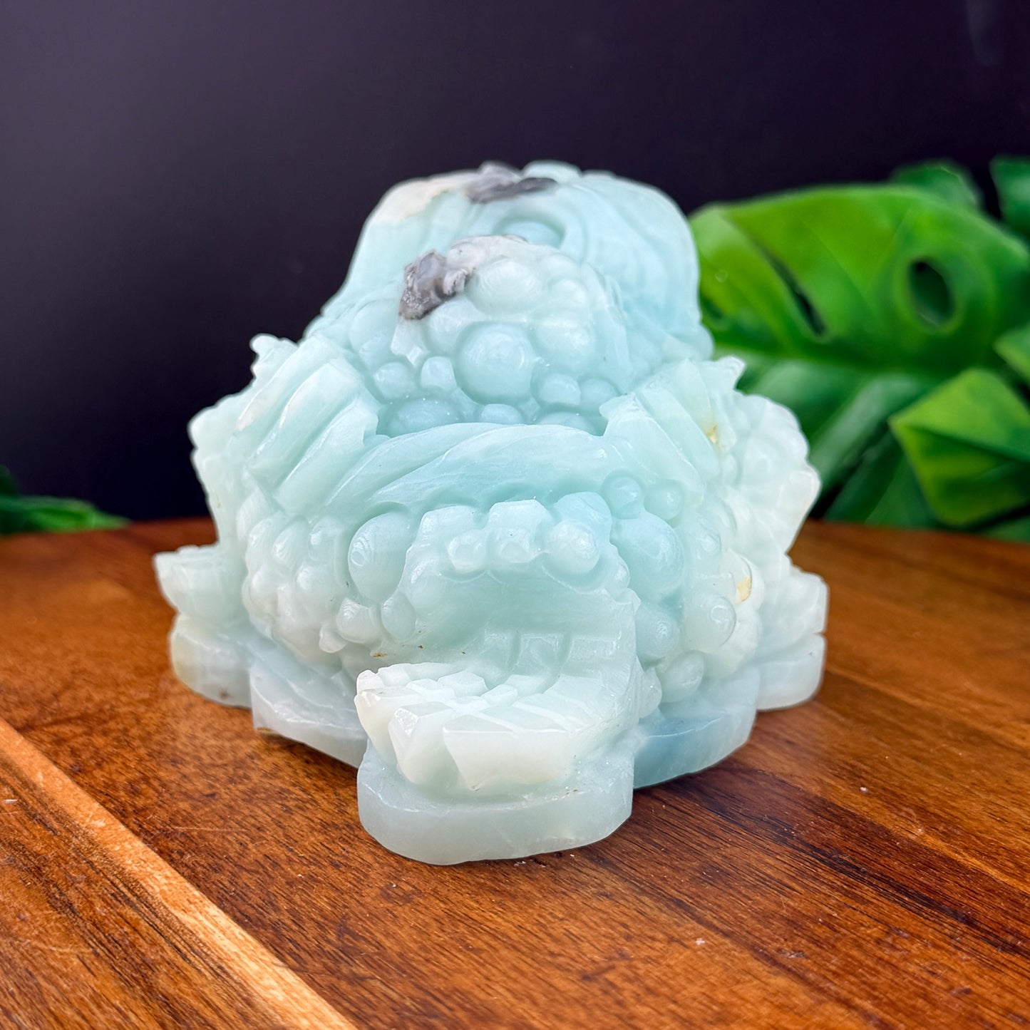 Carribean Calcite Money Toad