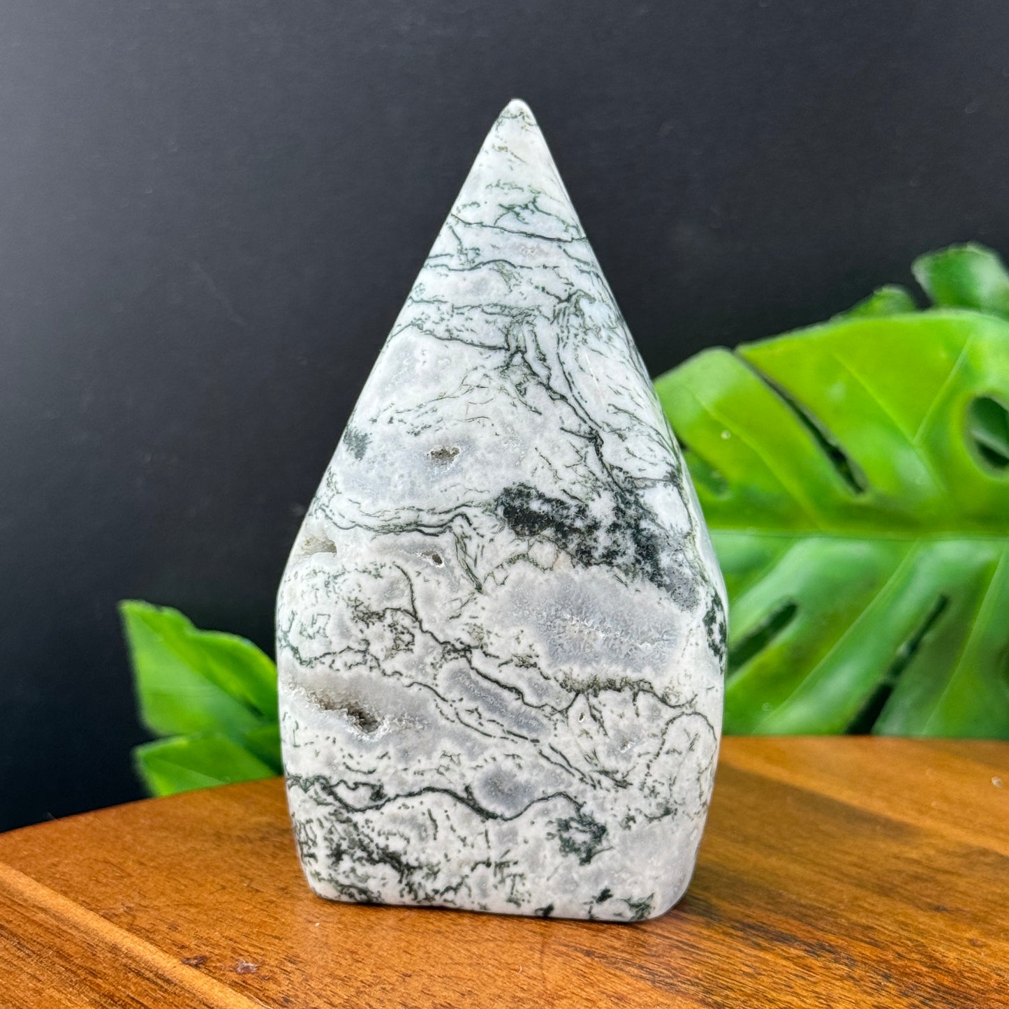 Moss Agate Skull in Flame