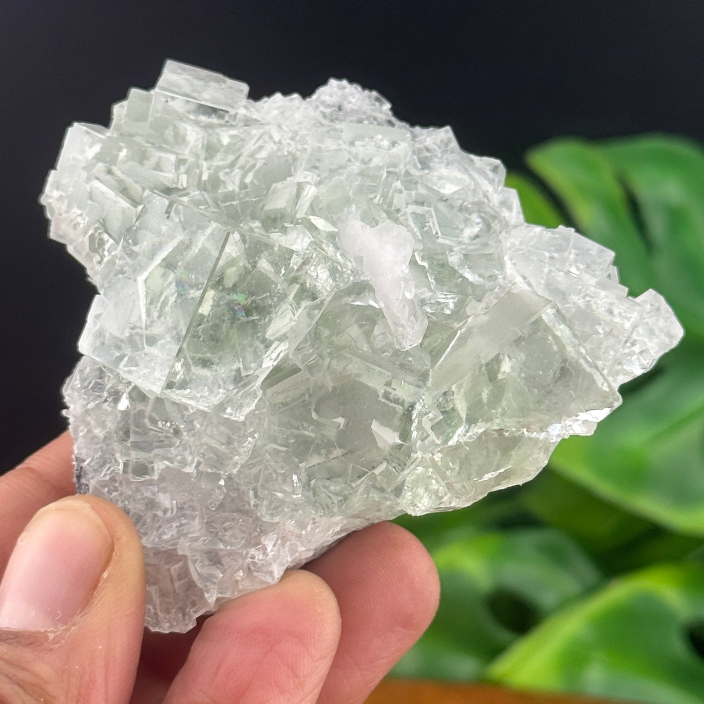 Glassy Cubic Green Fluorite Specimen