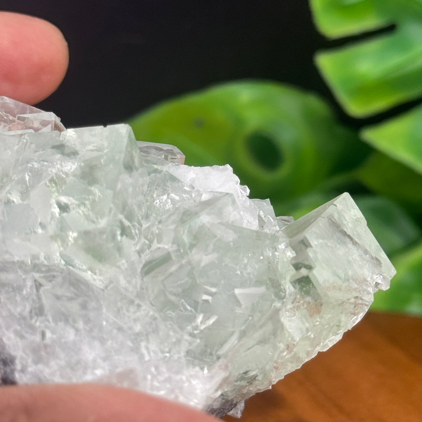 Glassy Cubic Green Fluorite Specimen