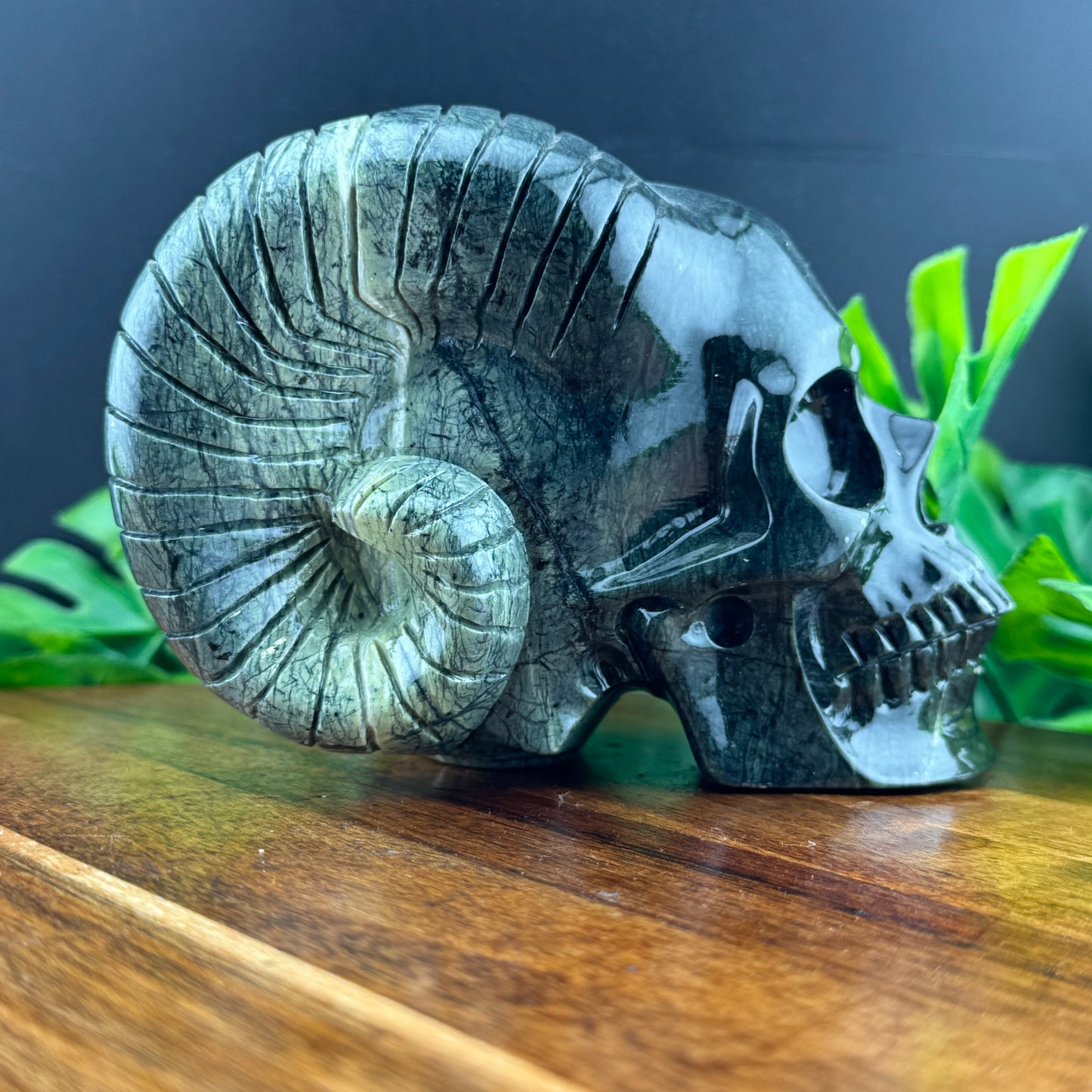 Jade Ram Skull