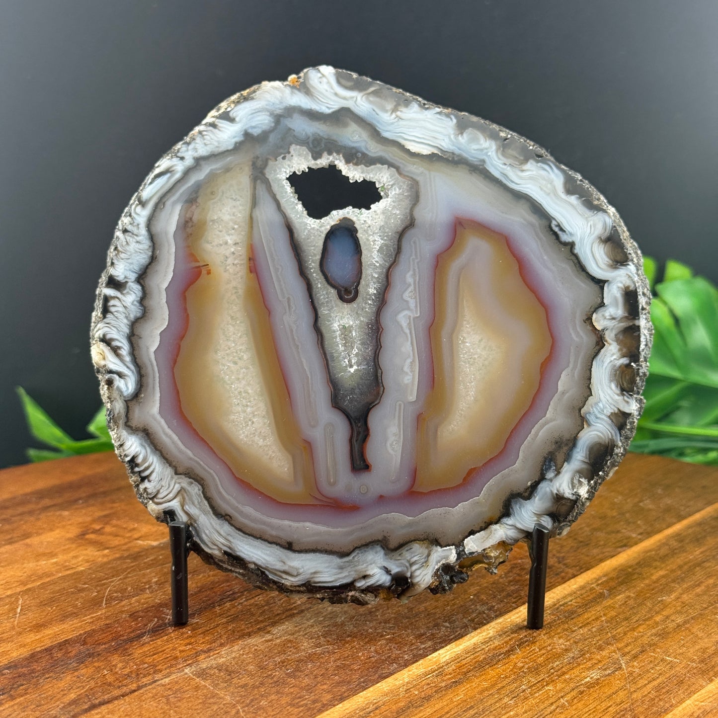Beautiful Agate Geode Slice with Stand