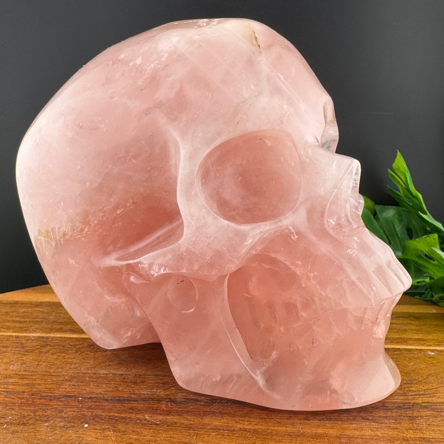 XL Rose Quartz Skull