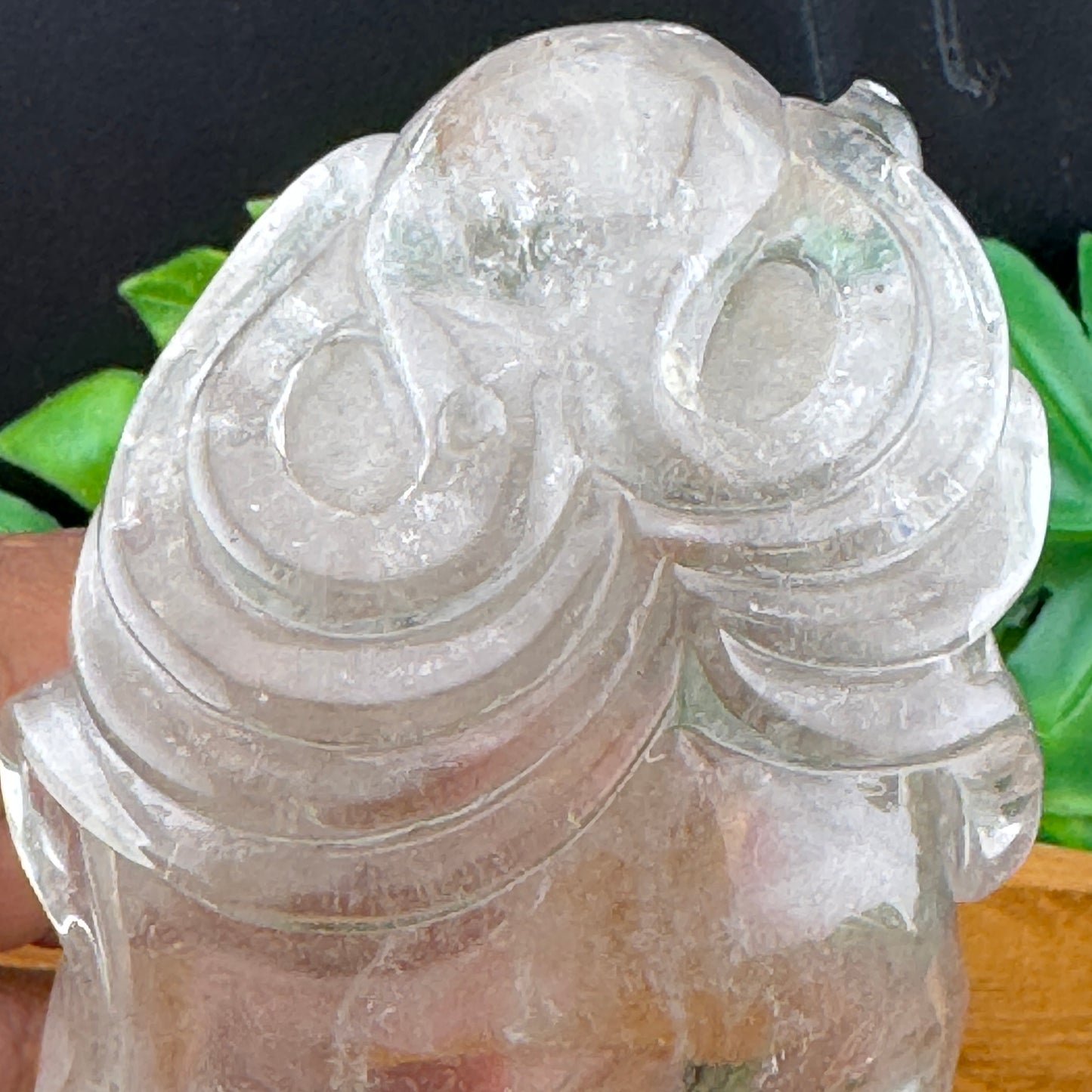 Clear Quartz Skull with Octopus Carving