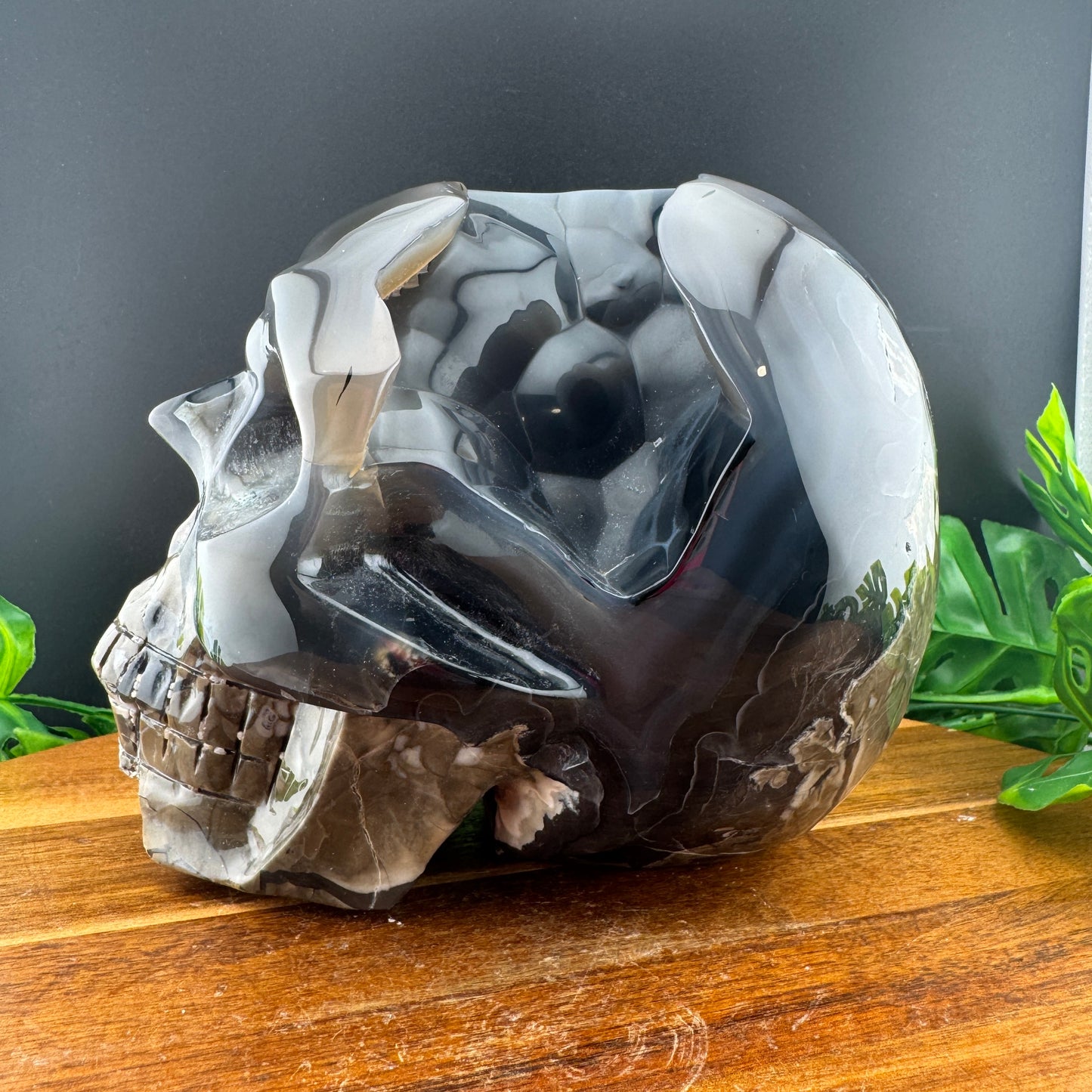 XL Botryoidal Volcano Agate Skull