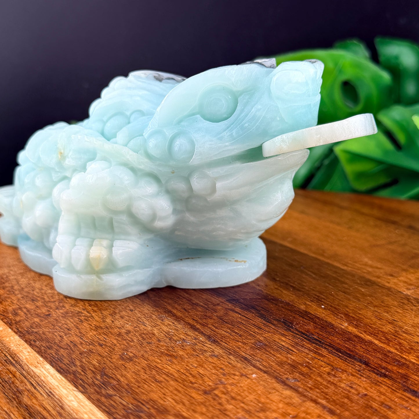 Carribean Calcite Money Toad