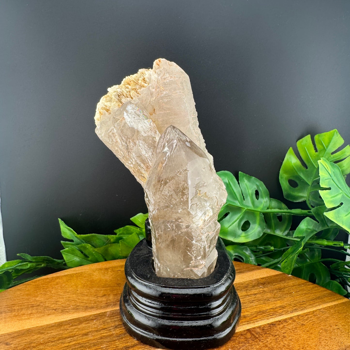 Smoky Elestial Specimen with Stand