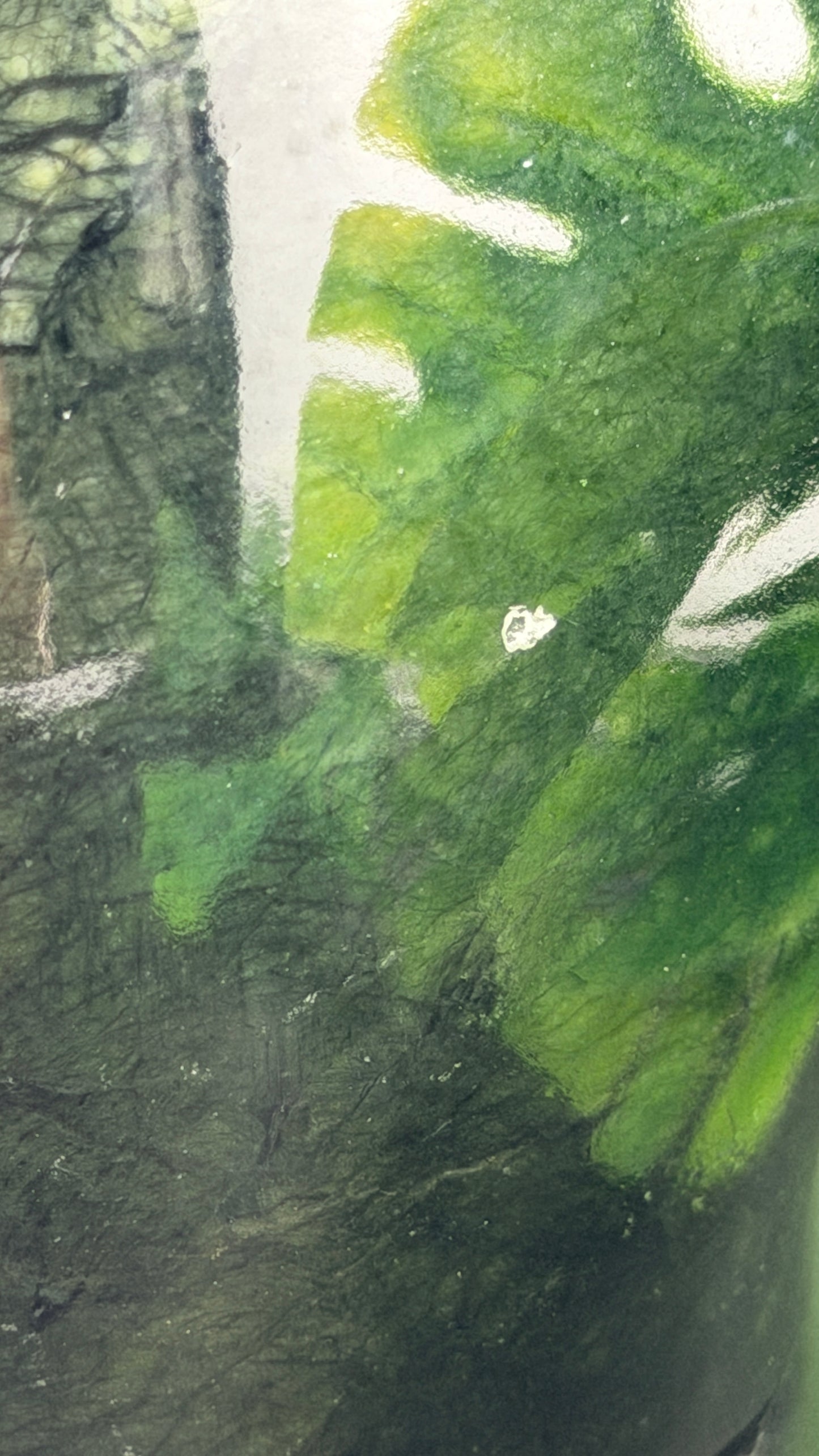 XL 13 inch Green Jade Goddess Body