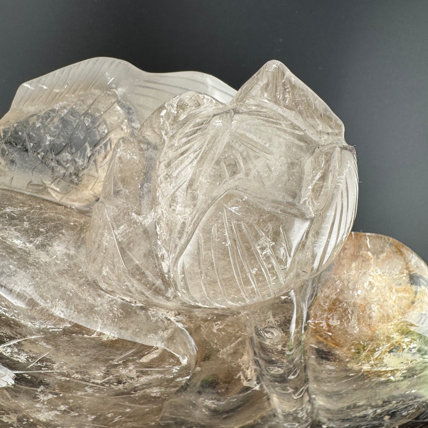 Gold Rutile in Quartz Goldfish Carving on Wood Stand