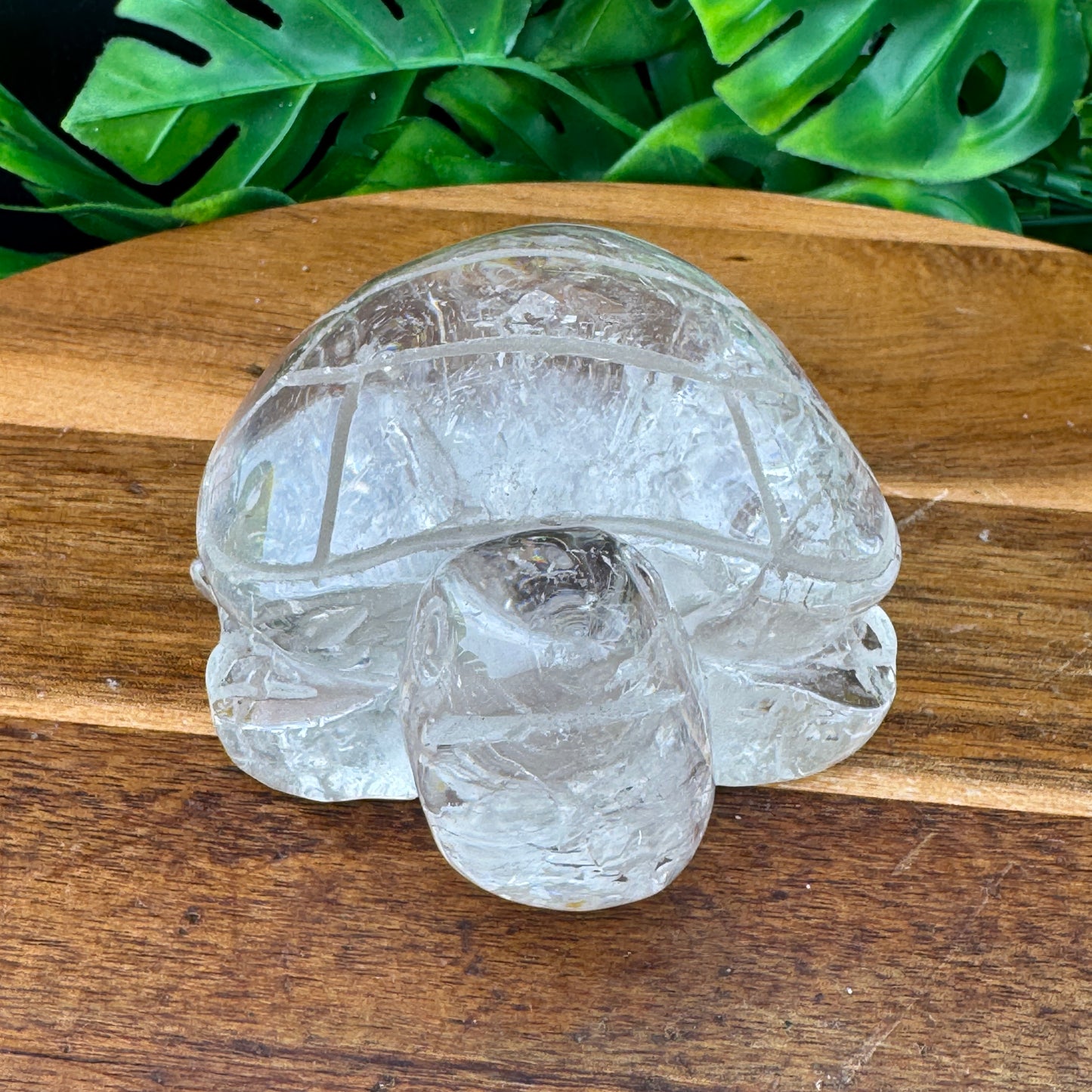 Clear Quartz Large Turtle Carving