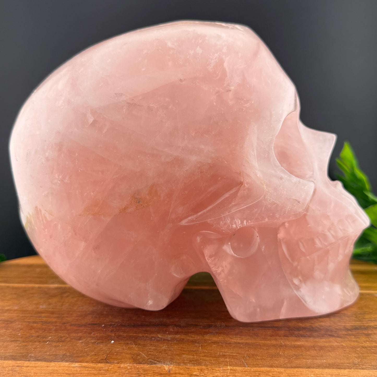 XL Rose Quartz Skull