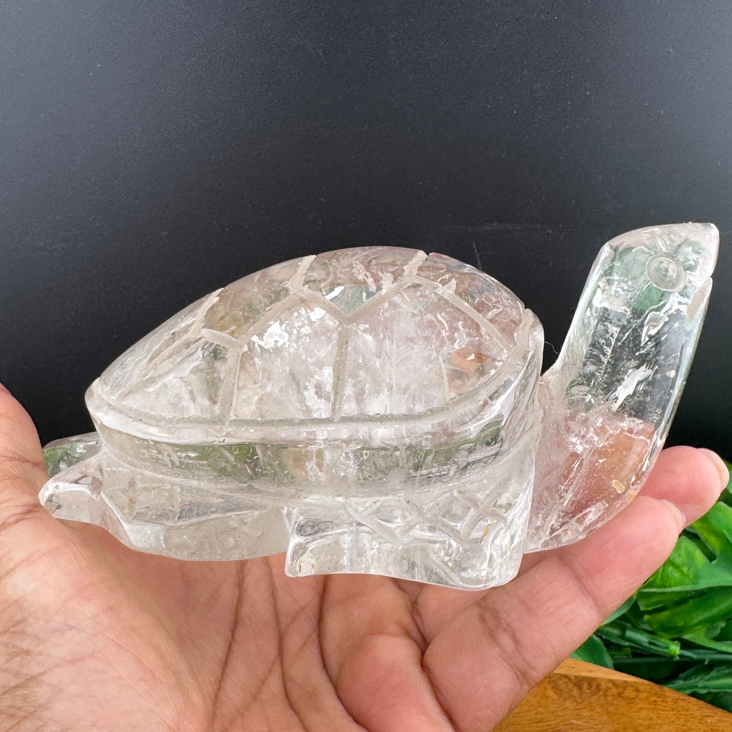 Clear Quartz Large Turtle Carving