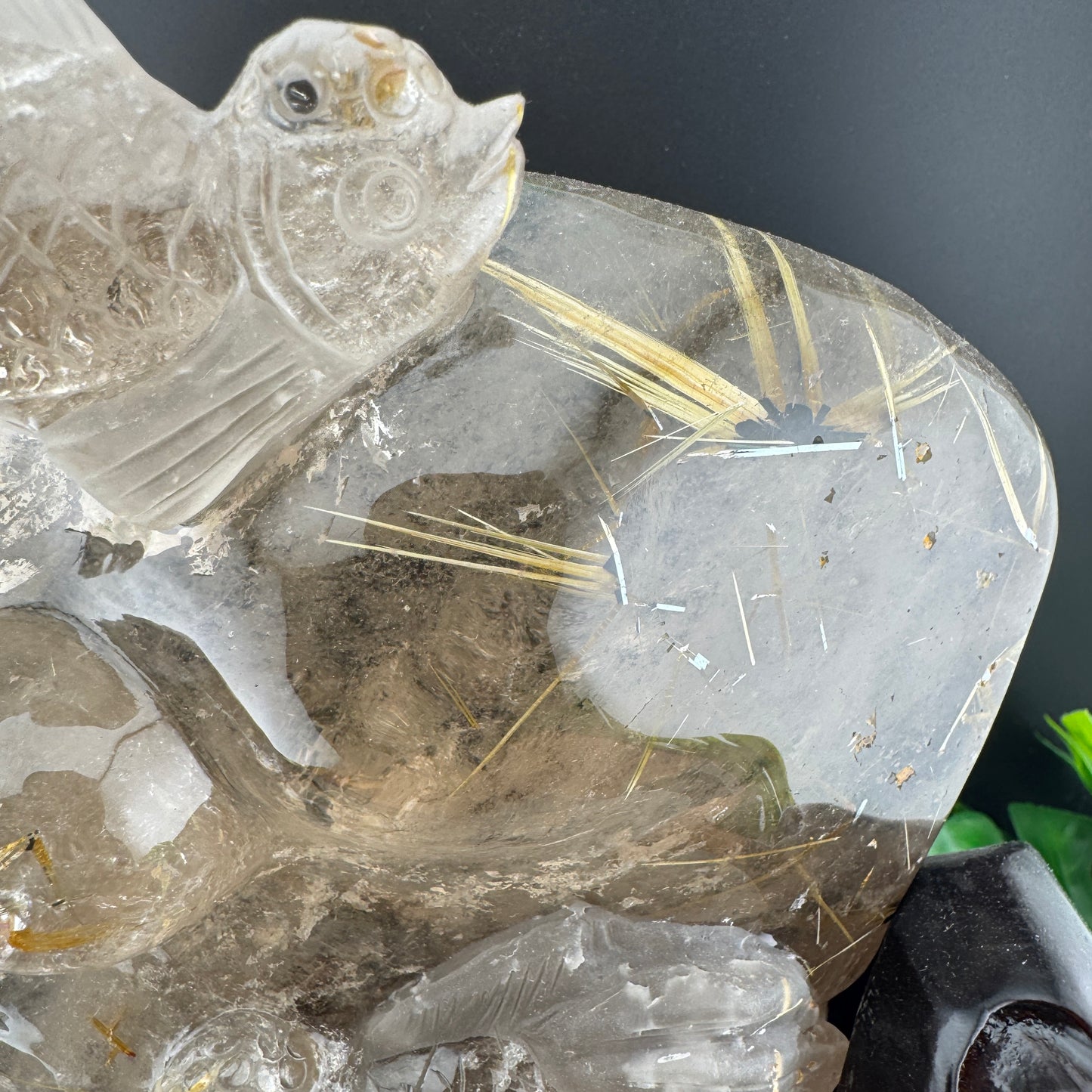 Gold Rutile in Quartz Goldfish Carving on Wood Stand