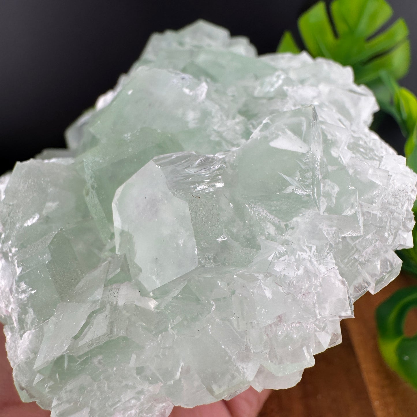 Green Glassy Cubic Sugar Fluorite Specimen