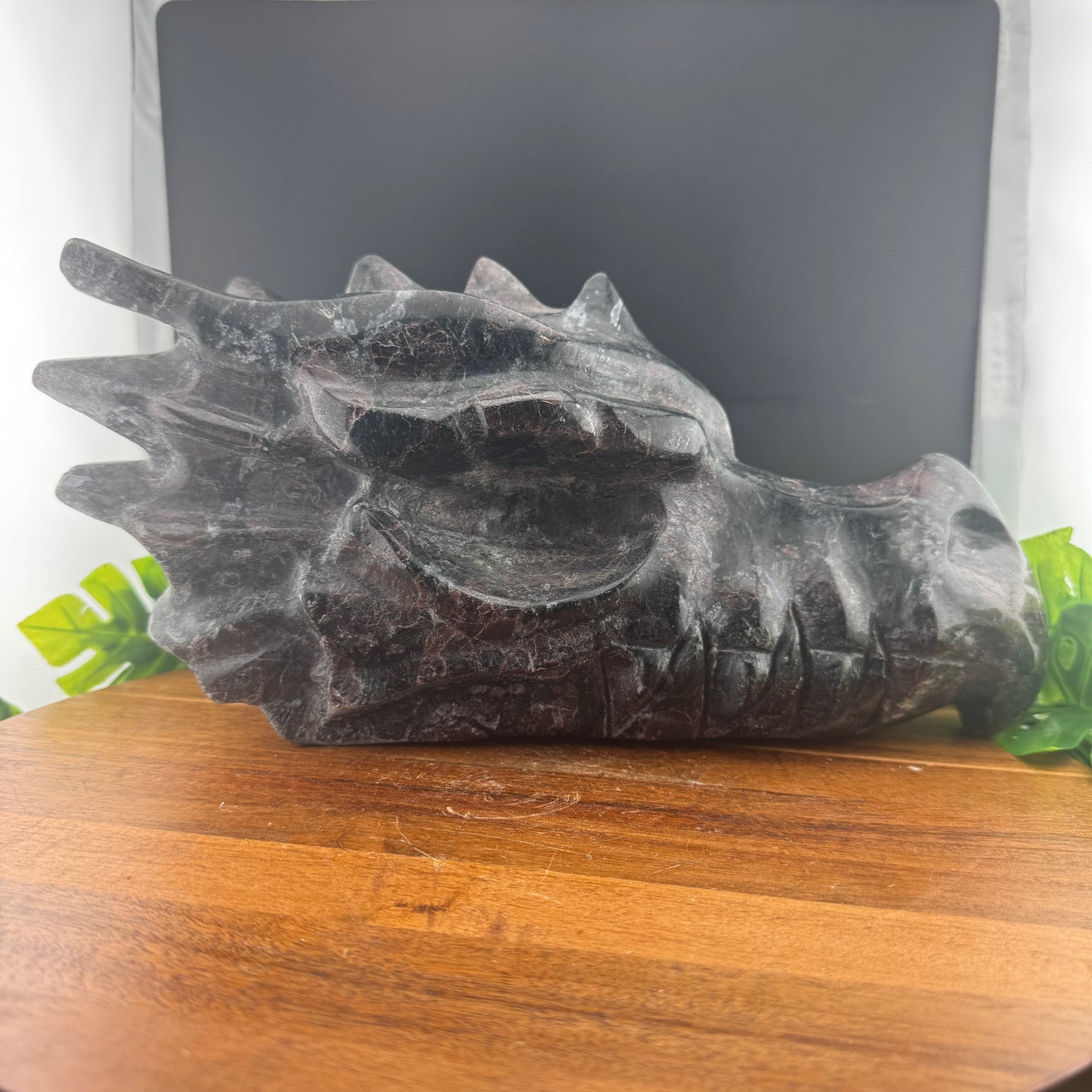 XL 12 inch Garnet in Arfvedsonite Dragon Carving