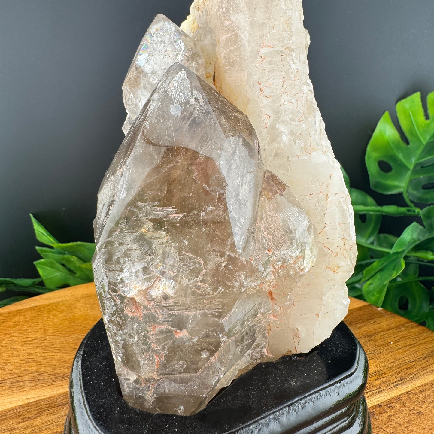 Smoky Elestial Specimen with Stand