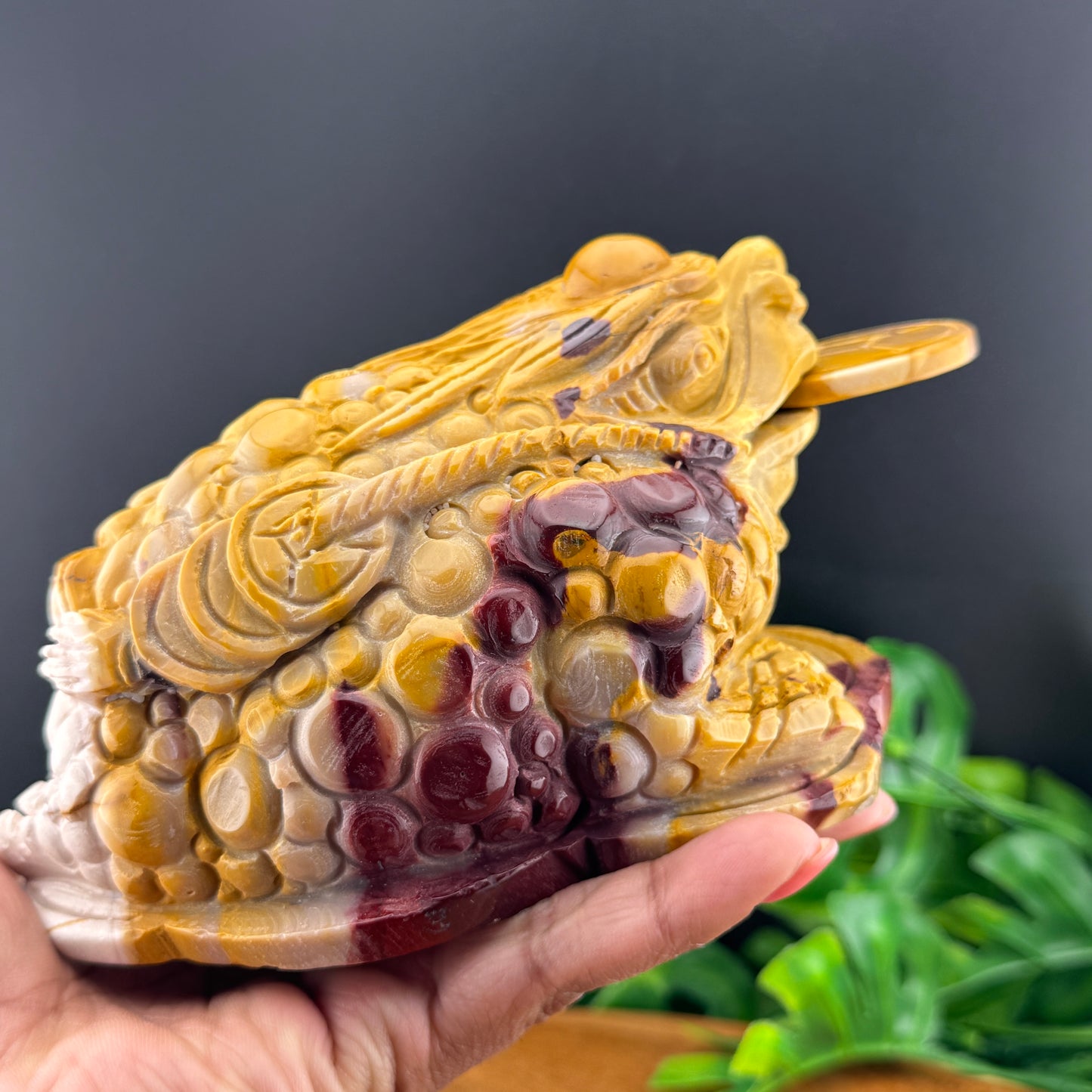 Yellow Mookaite Money Toad