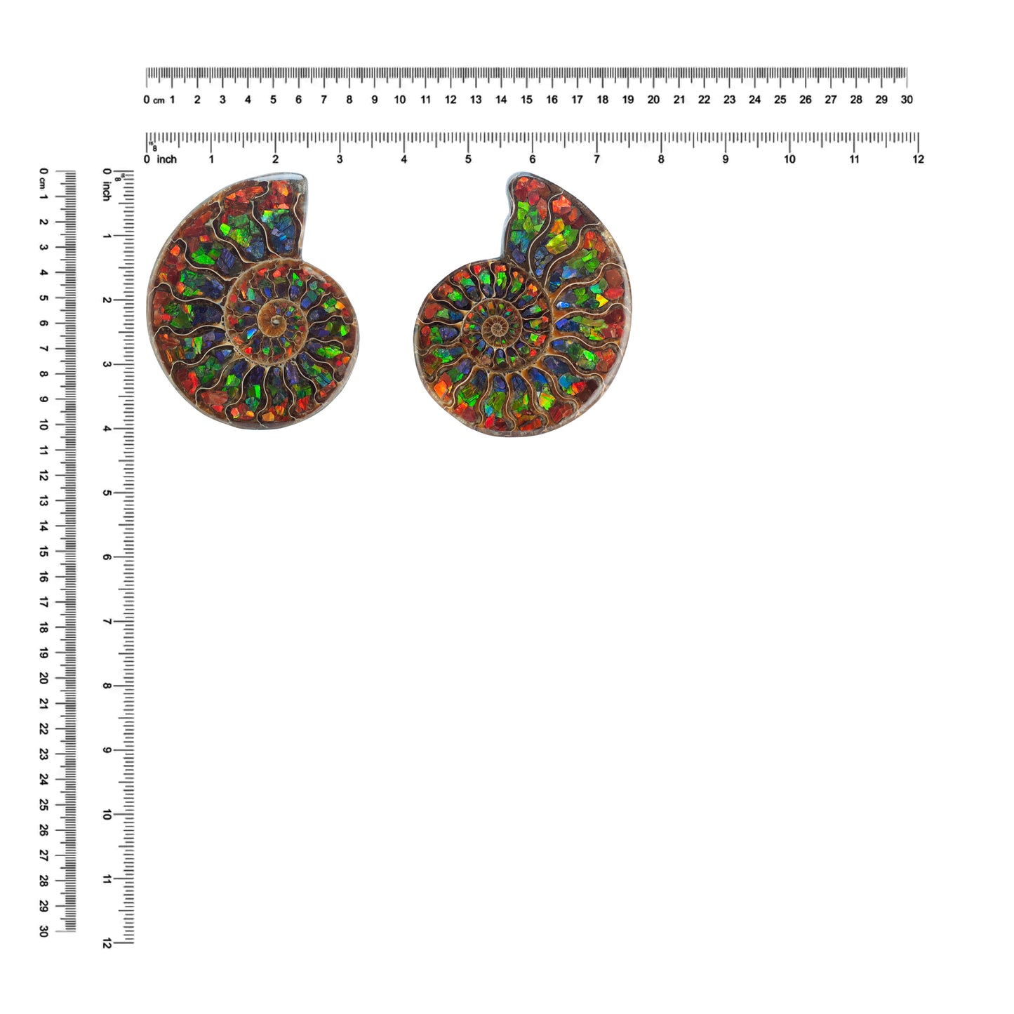 Ammonite Half with Ammolite Inlay Display Stone 10 cm, 1 Piece