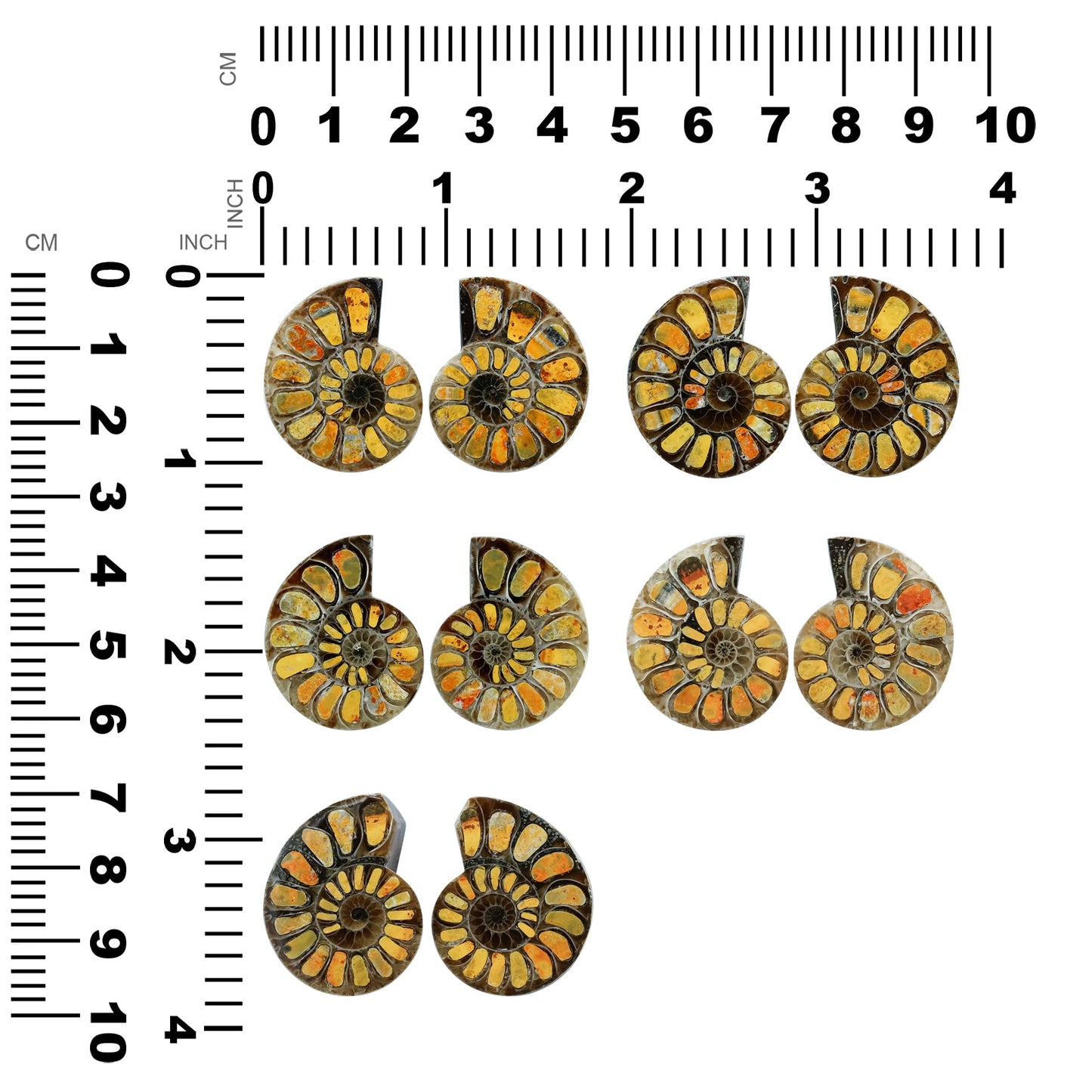 Starborn Half Ammonite with Bumblebee Jasper Inlay Cabochon 25 - 29 mm, 1 Pair
