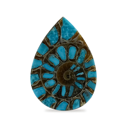 Starborn Ammonite with Turquoise Inlay Pear Cabochon 18 x 25 mm, 1 Piece