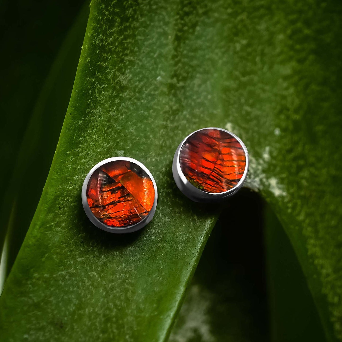 Starborn Ammolite 6 mm Micro Post Earrings in Sterling Silver