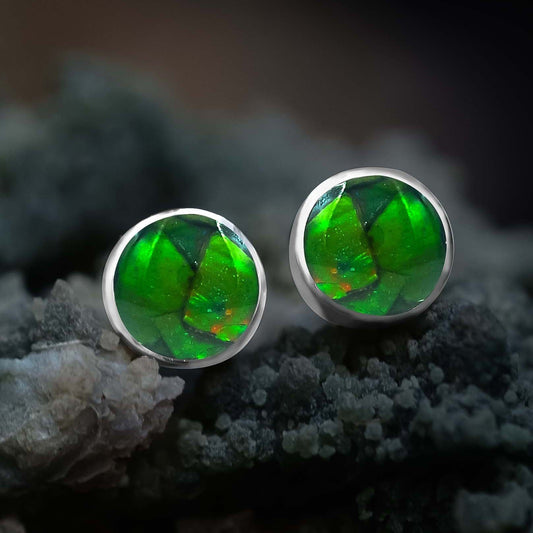 Starborn Ammolite 6 mm Micro Post Earrings in Sterling Silver