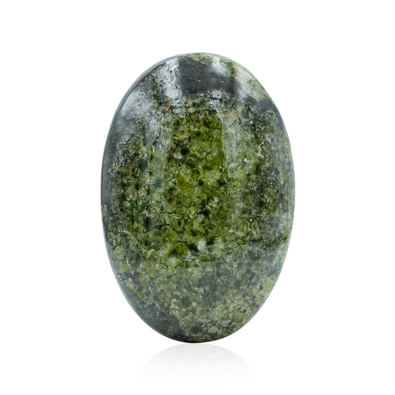 Starborn Oval Polished Palm Stone - 1 Piece