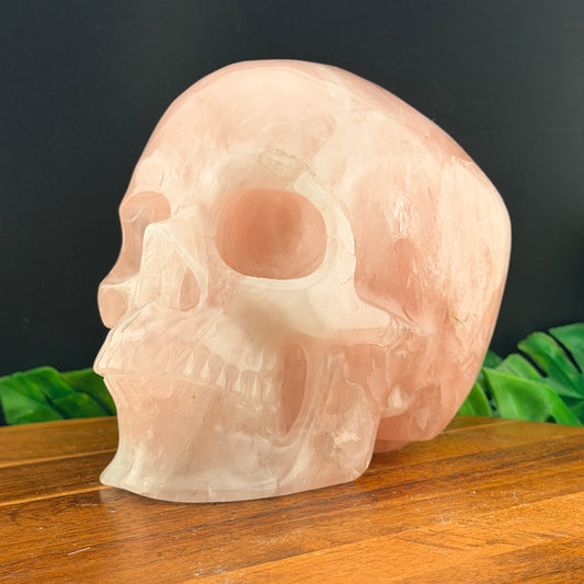 XL 7 inch Rose Quartz Skull
