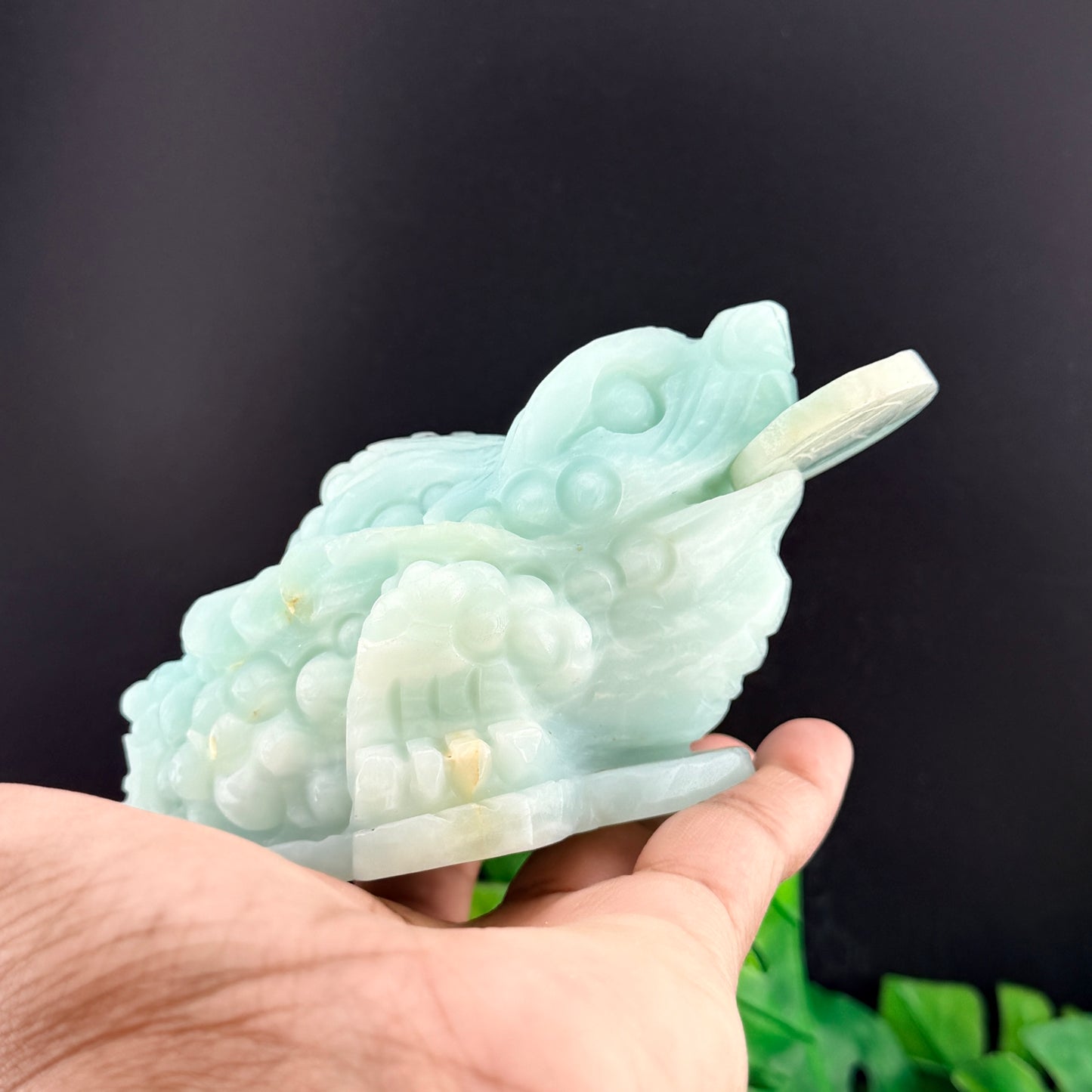 Carribean Calcite Money Toad