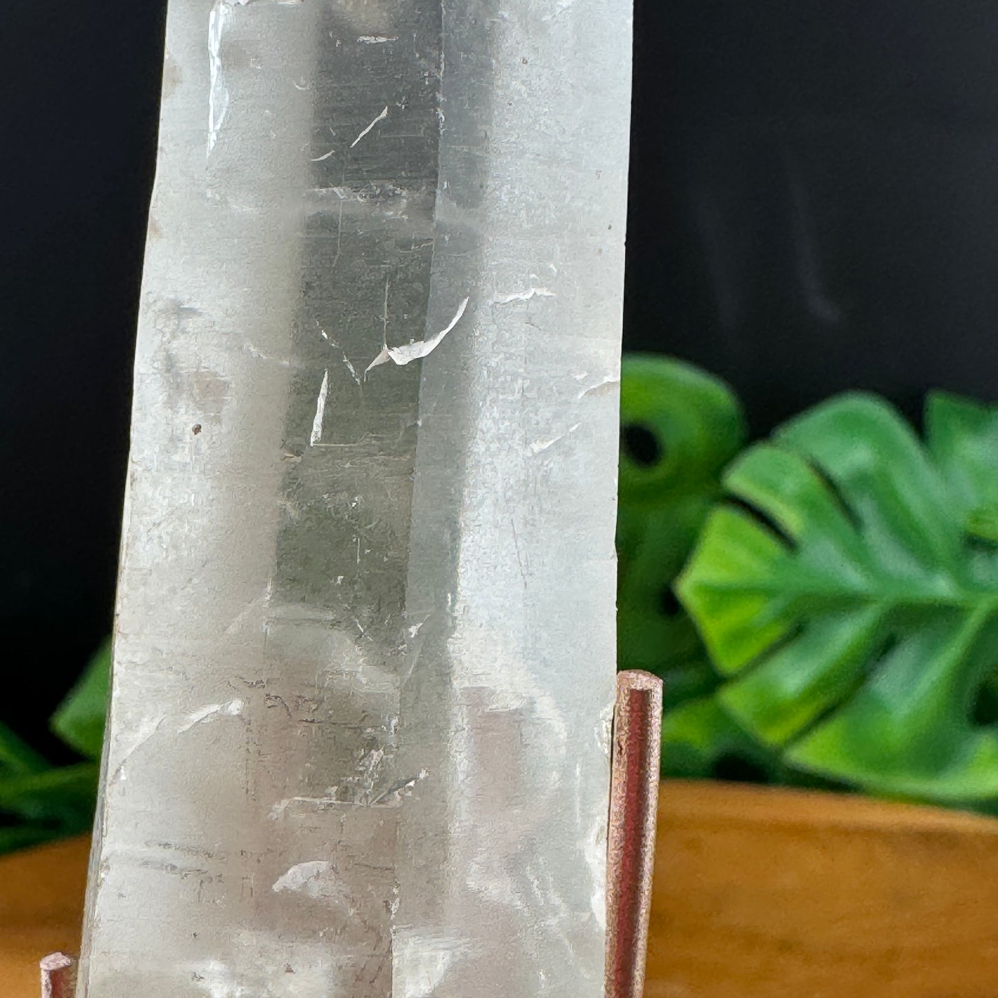 Lemurian Point on Gold Stand