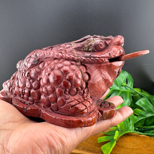 Red Mookaite Money Toad