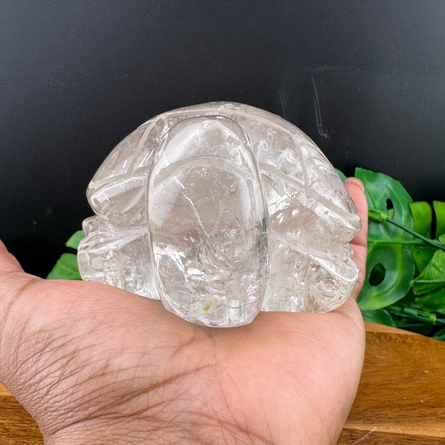 Clear Quartz Large Turtle Carving