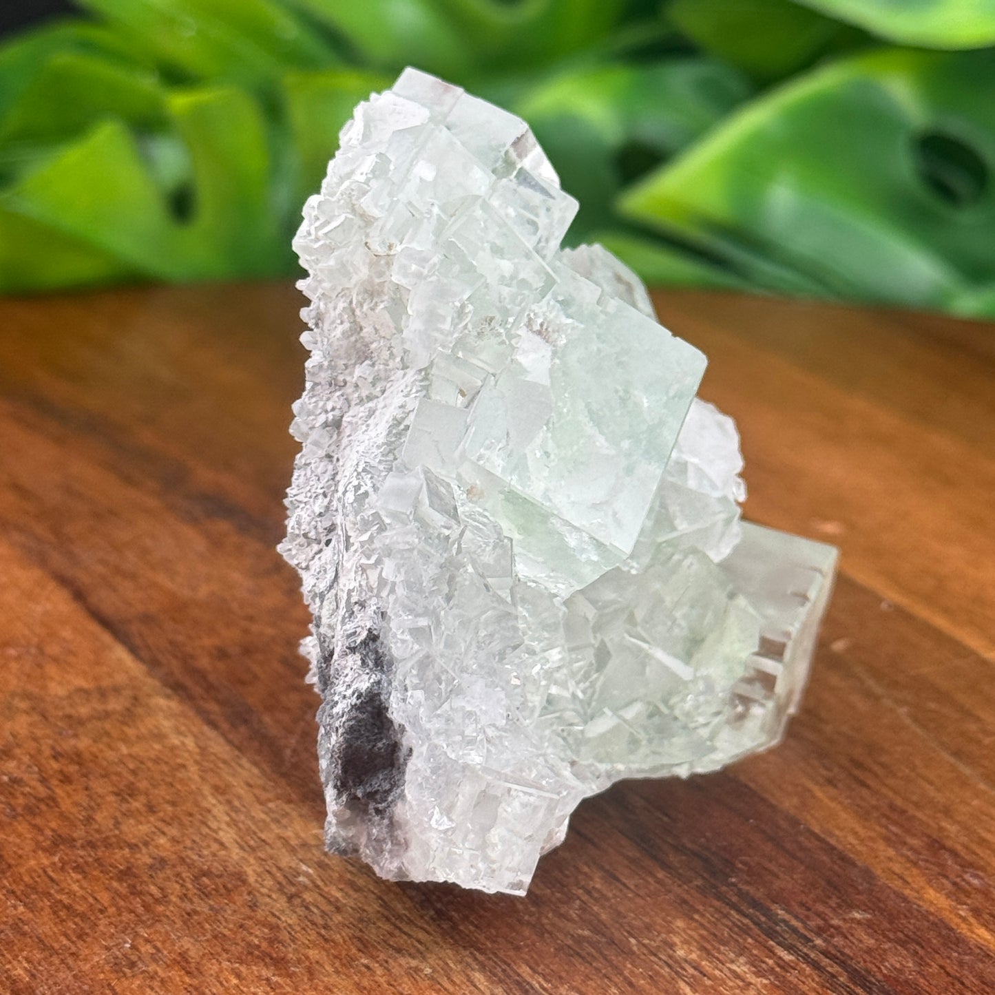 Glassy Cubic Green Fluorite Specimen