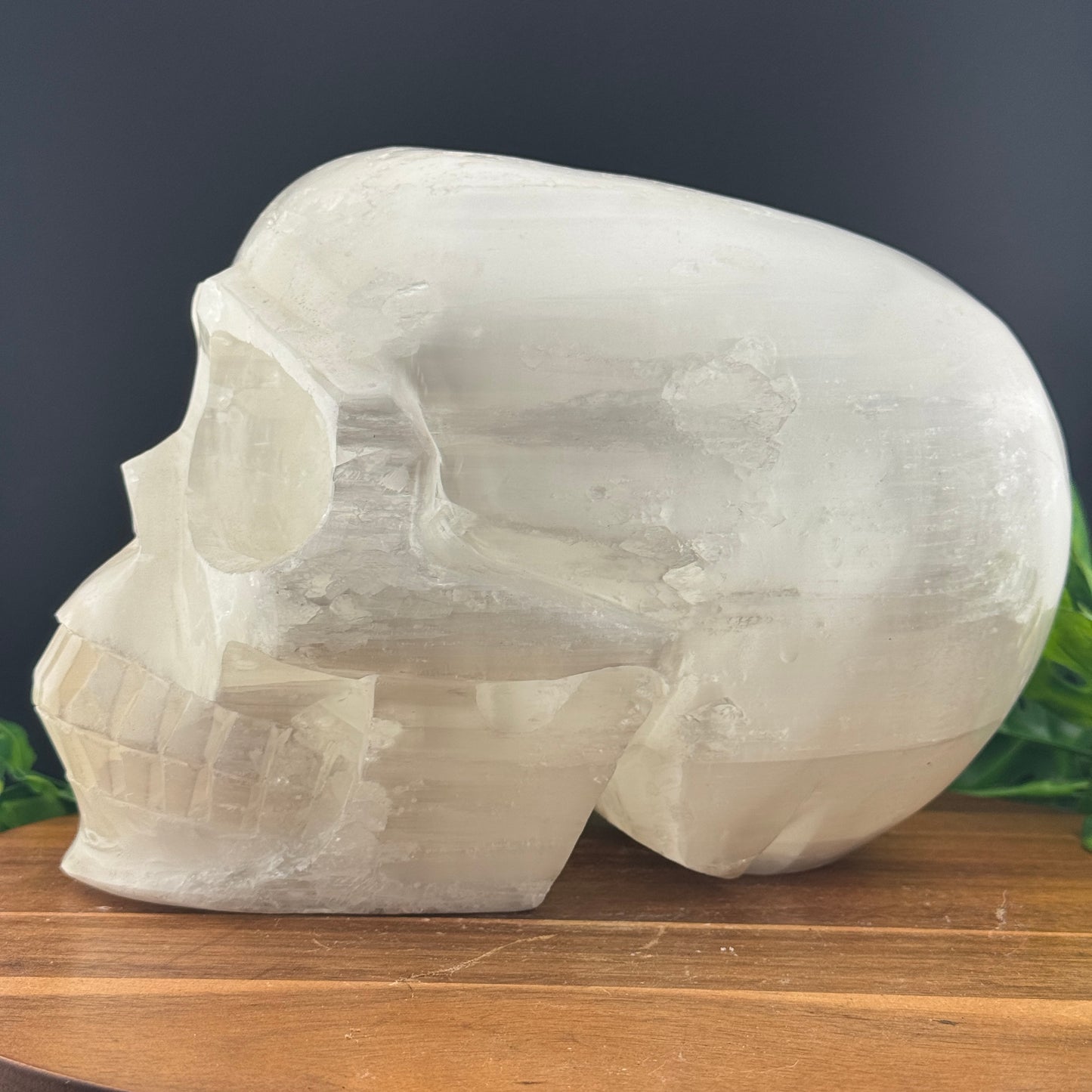 XL Satin Spar Selenite Skull