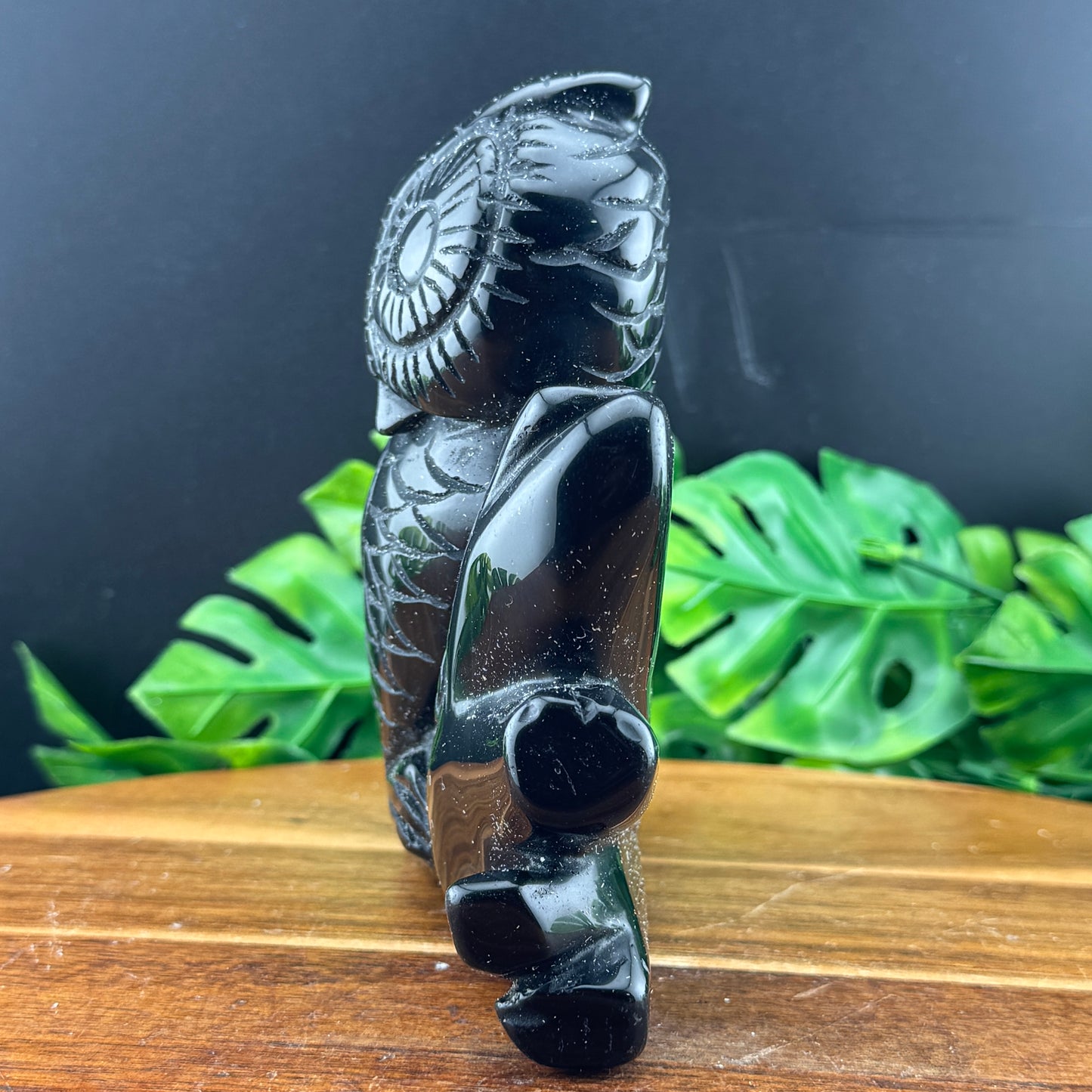 Black Obsidian Owl on Tree Carving