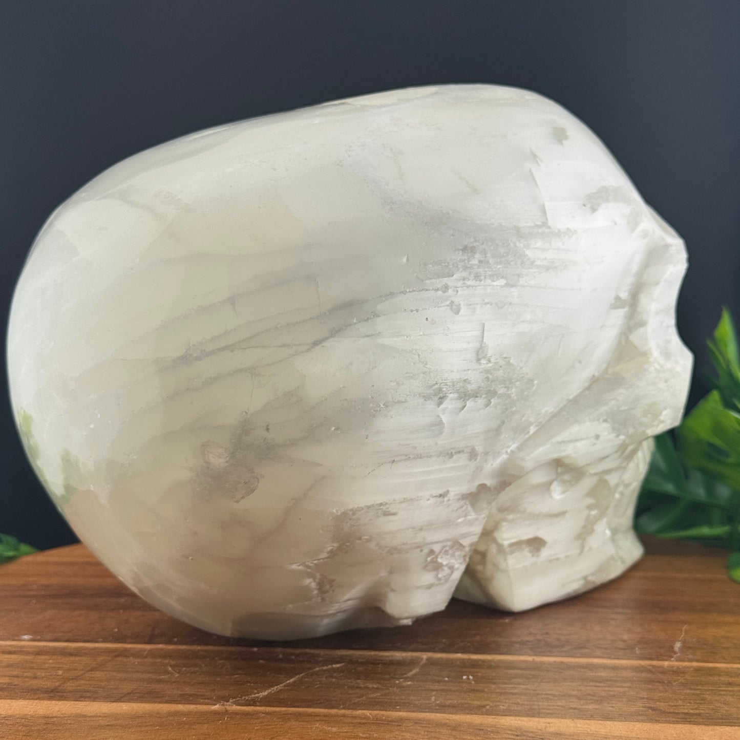 XL Satin Spar Selenite Skull