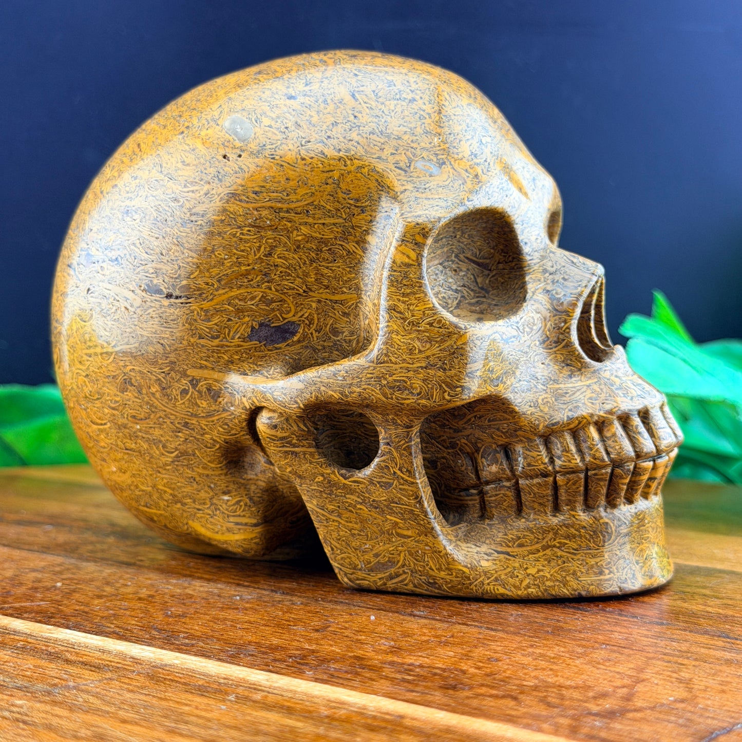 Elephant Skin Jasper Skull