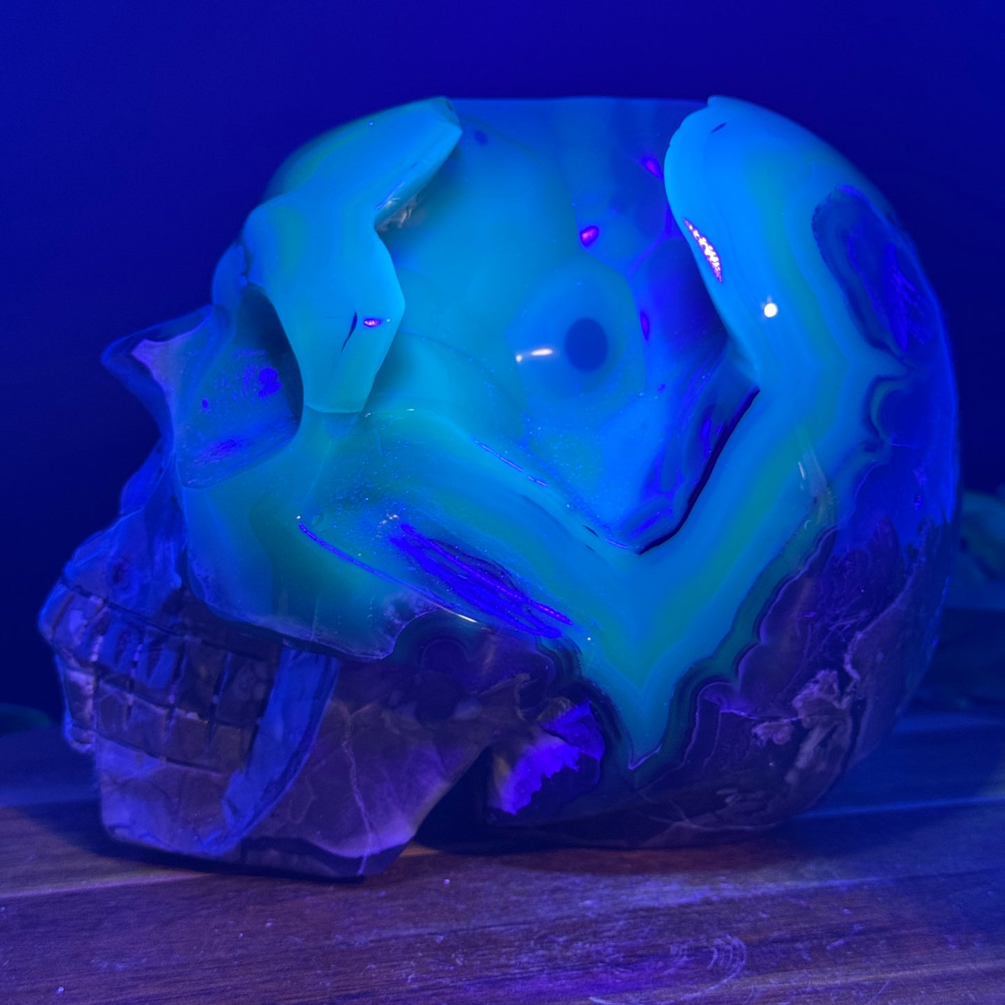 XL Botryoidal Volcano Agate Skull
