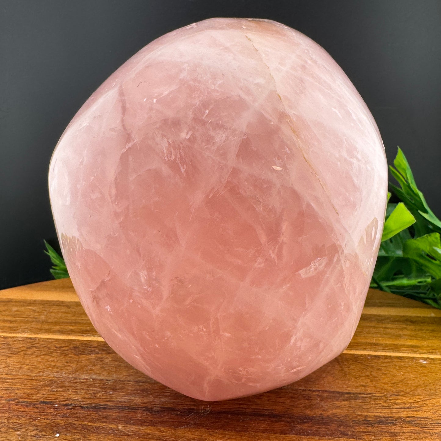 XL Rose Quartz Skull