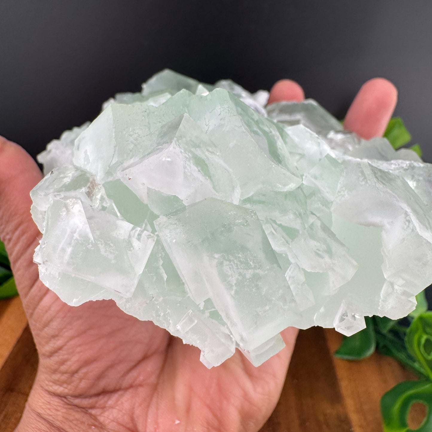 Green Glassy Cubic Sugar Fluorite Specimen