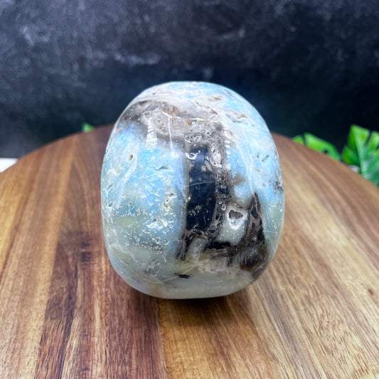 Caribbean Calcite Skull