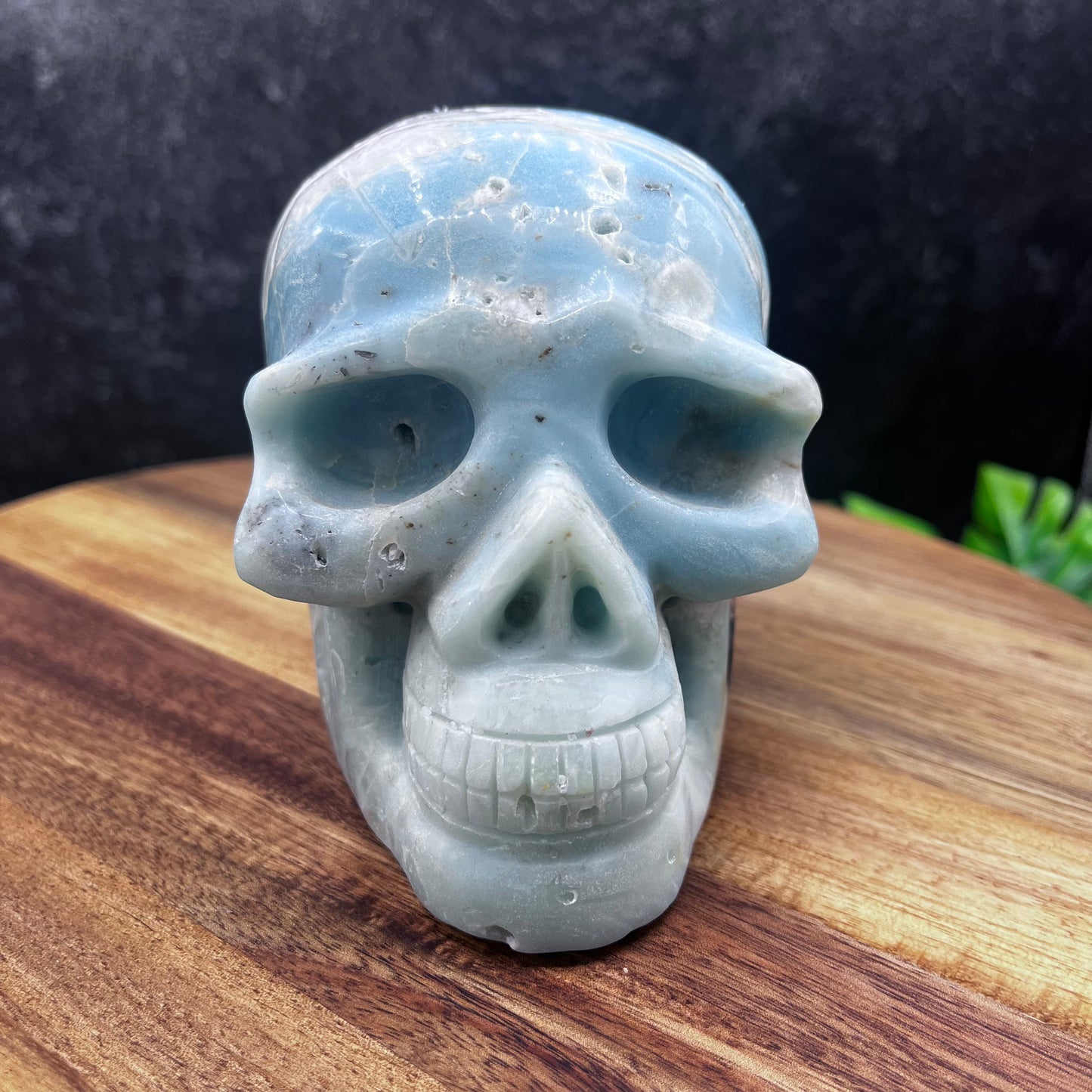 Caribbean Calcite Skull