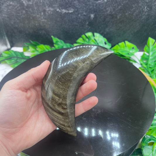 Gold Sheen Obsidian Moon