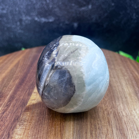 Caribbean Calcite Skull