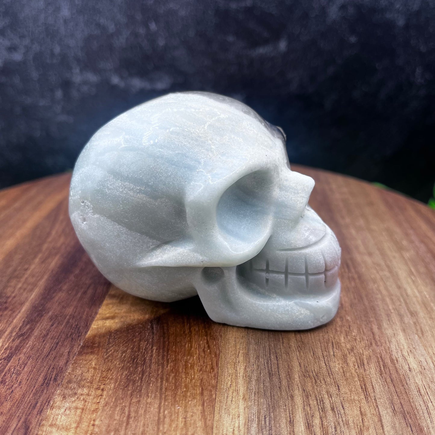 Caribbean Calcite Skull